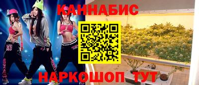индика Гусь-Хрустальный