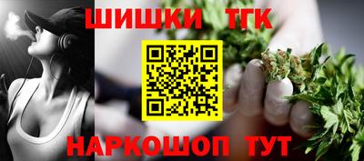 индика Гусь-Хрустальный
