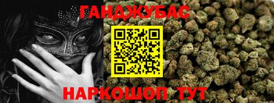 индика Гусь-Хрустальный