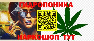 индика Гусь-Хрустальный