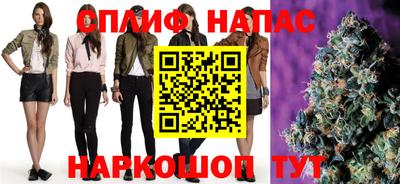 индика Гусь-Хрустальный