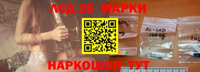 крисы Гусев
