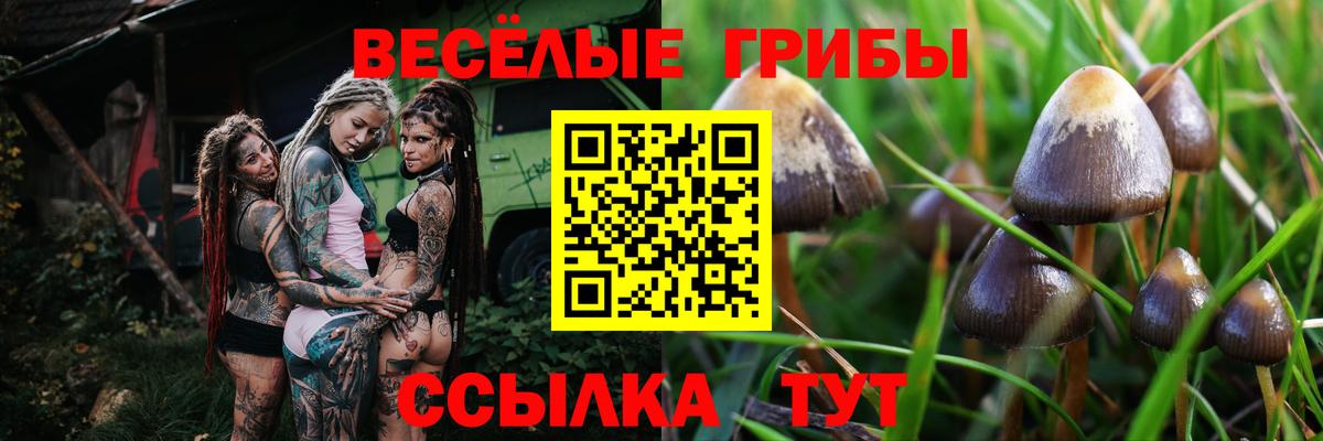 Минусинск  Псилоцибиновые грибы Psilocybe  Галлюциногенные грибы ЛСД  Вход с VPN 